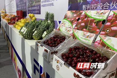周末果品會 繽紛水果盛宴，盡享舌尖上的甜蜜時光